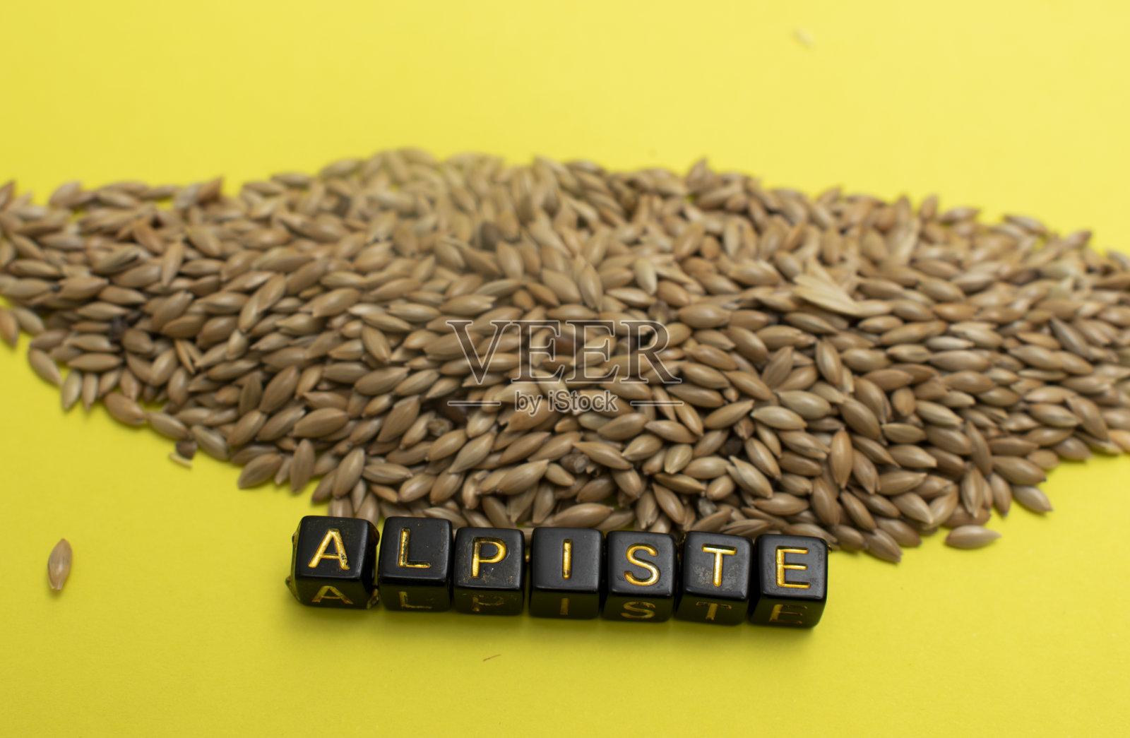 植物种子照片摄影图片