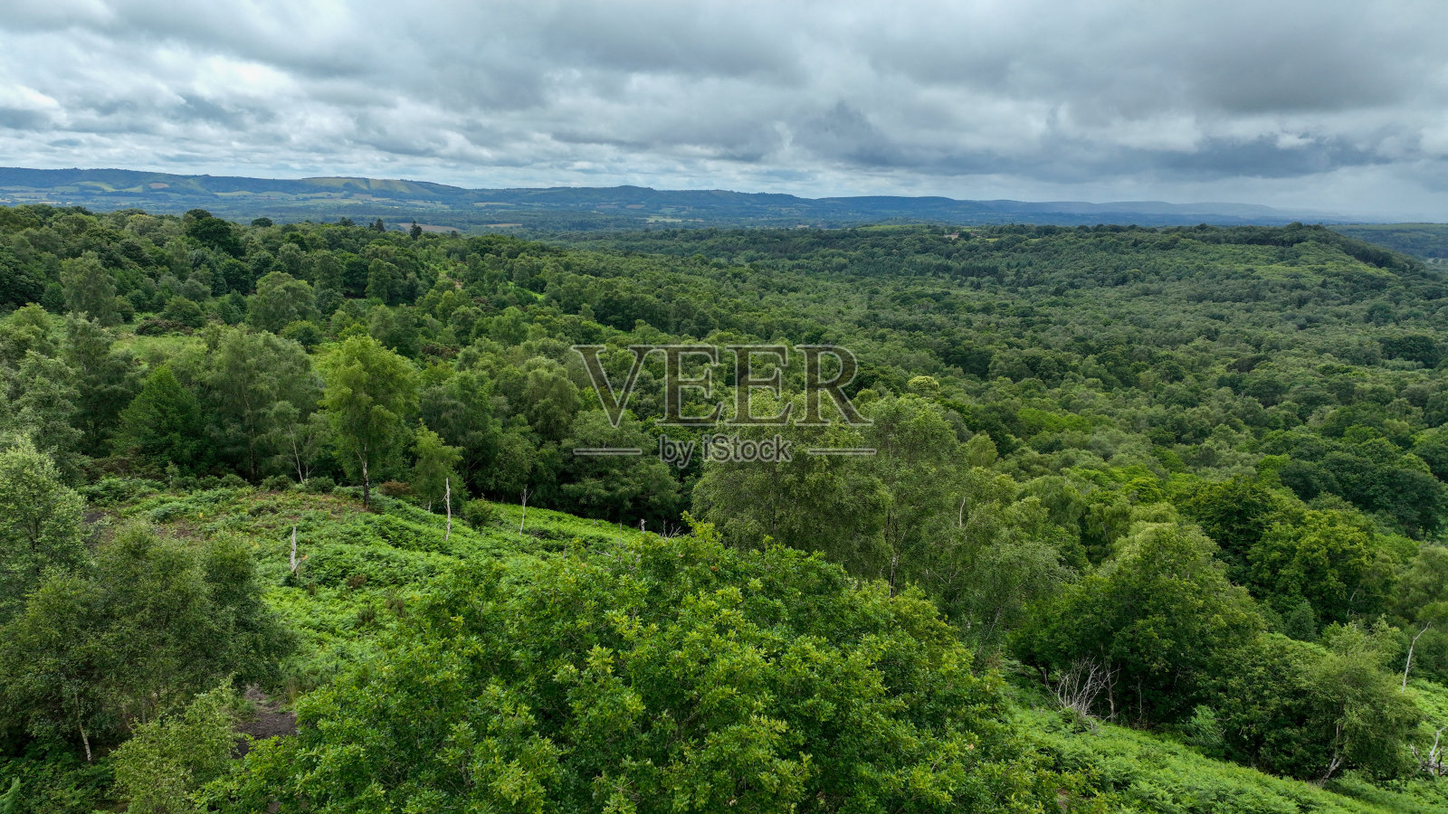 鸟瞰郁郁葱葱的乡村树林照片摄影图片