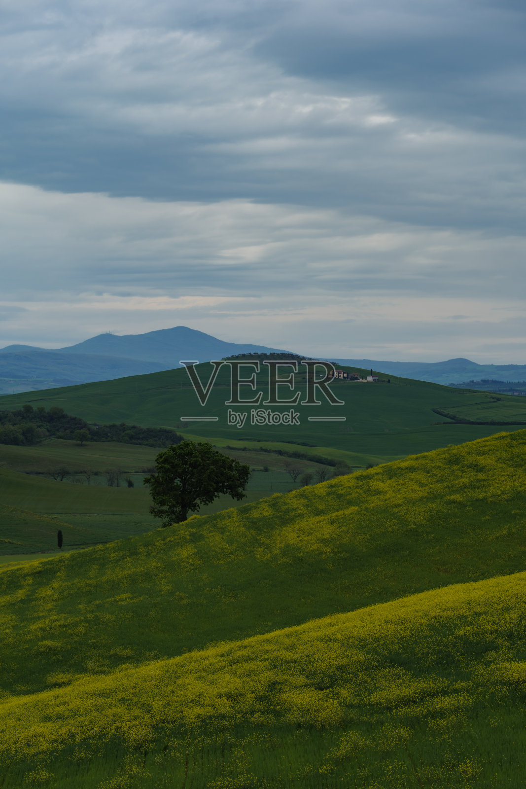 春天的托斯卡纳田野,阴天的心情,奥卡谷,皮恩扎地区照片摄影图片