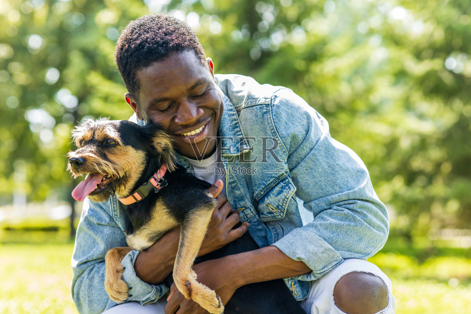 阳光明媚的日子里,一名拉丁美洲男子带着他可爱的狗在城市公园的草坪上散步照片摄影图片