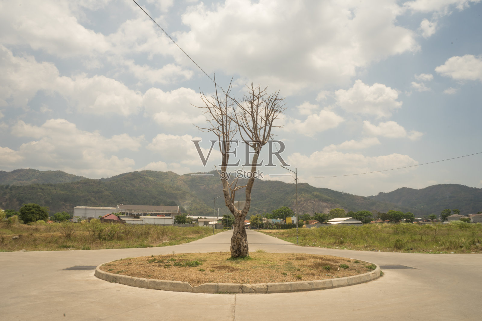 新建筑环岛路中间的死亡树,背景是山脉照片摄影图片