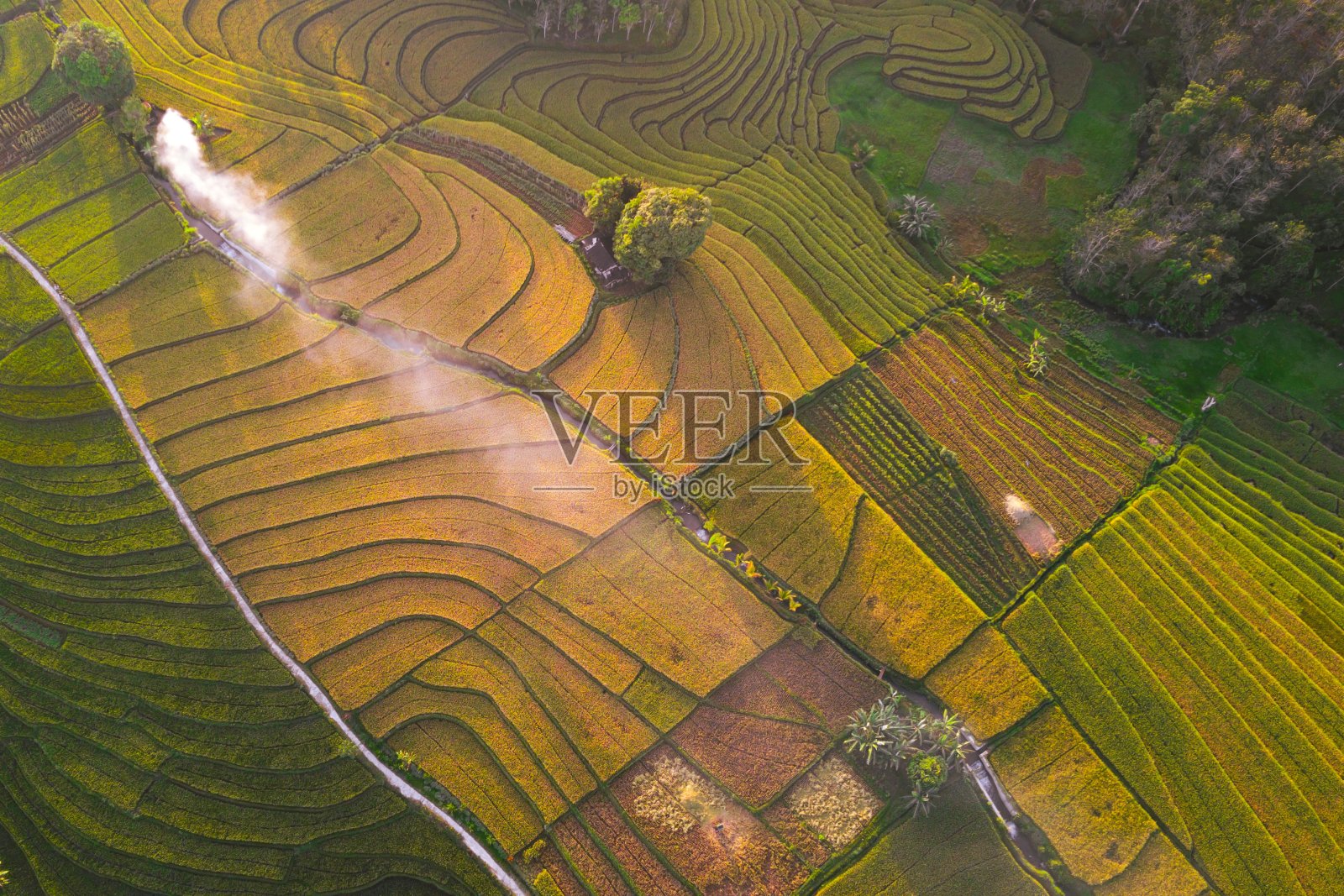 印尼梯田的自然景观照片摄影图片