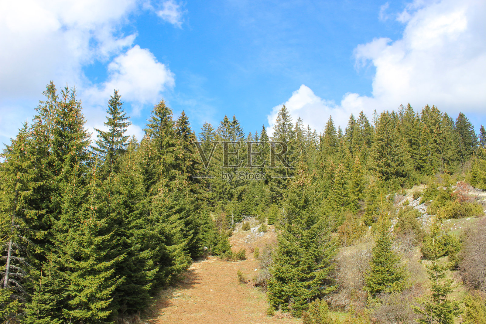 山泉景观照片摄影图片
