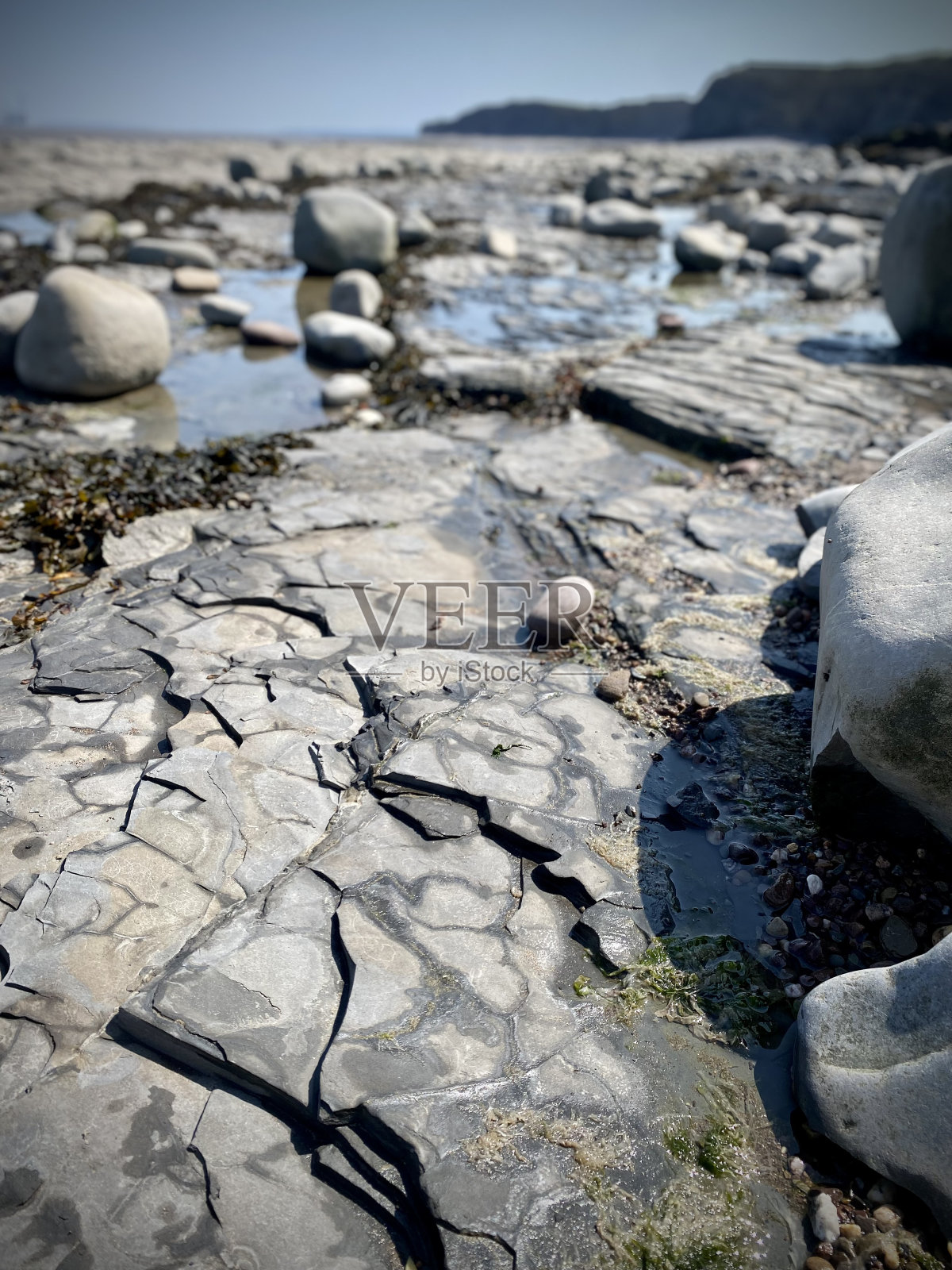 岩石池、侏罗纪海岸、kilve海滩、化石岩石滩。布里斯托尔海峡。海藻。照片摄影图片