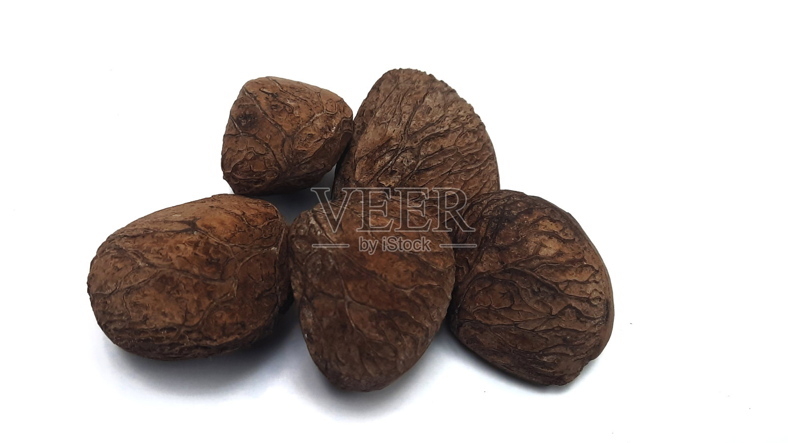 Pangium edule照片摄影图片