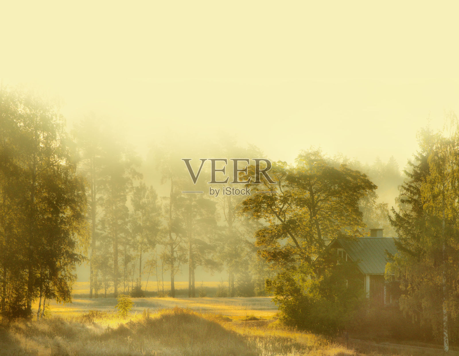 北欧前院朦胧的早晨照片摄影图片