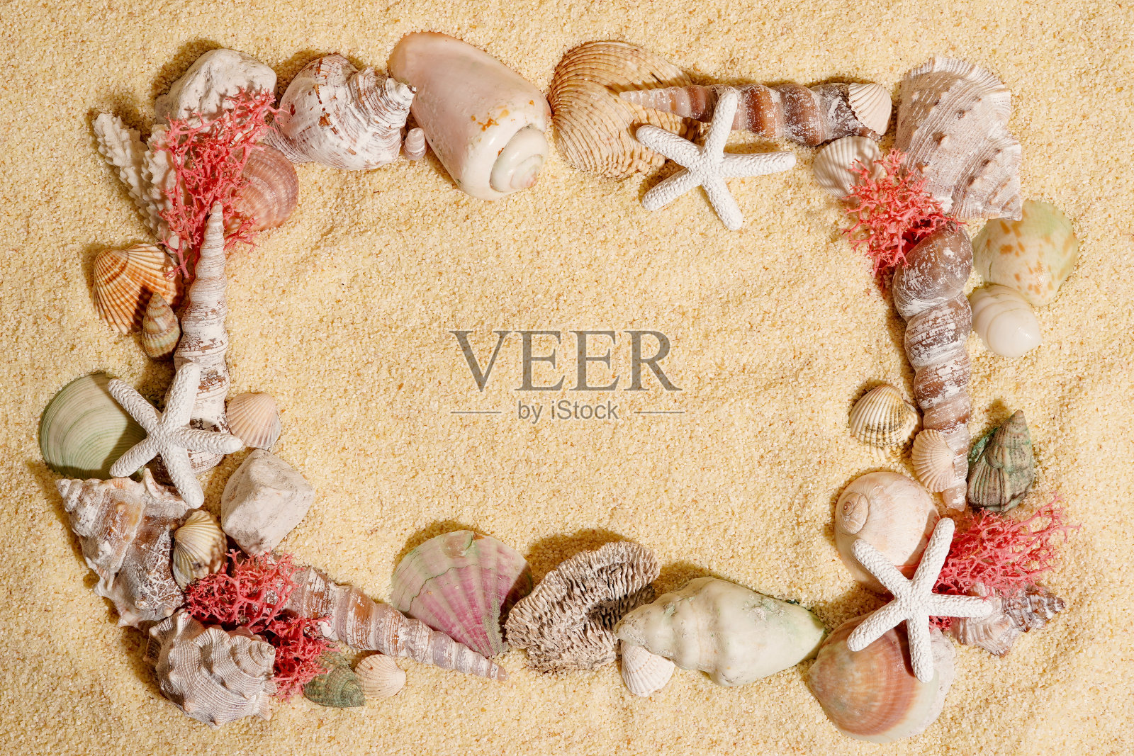 贝壳的框架,沙滩上的海星。夏季海滩或大海的概念。本空间照片摄影图片