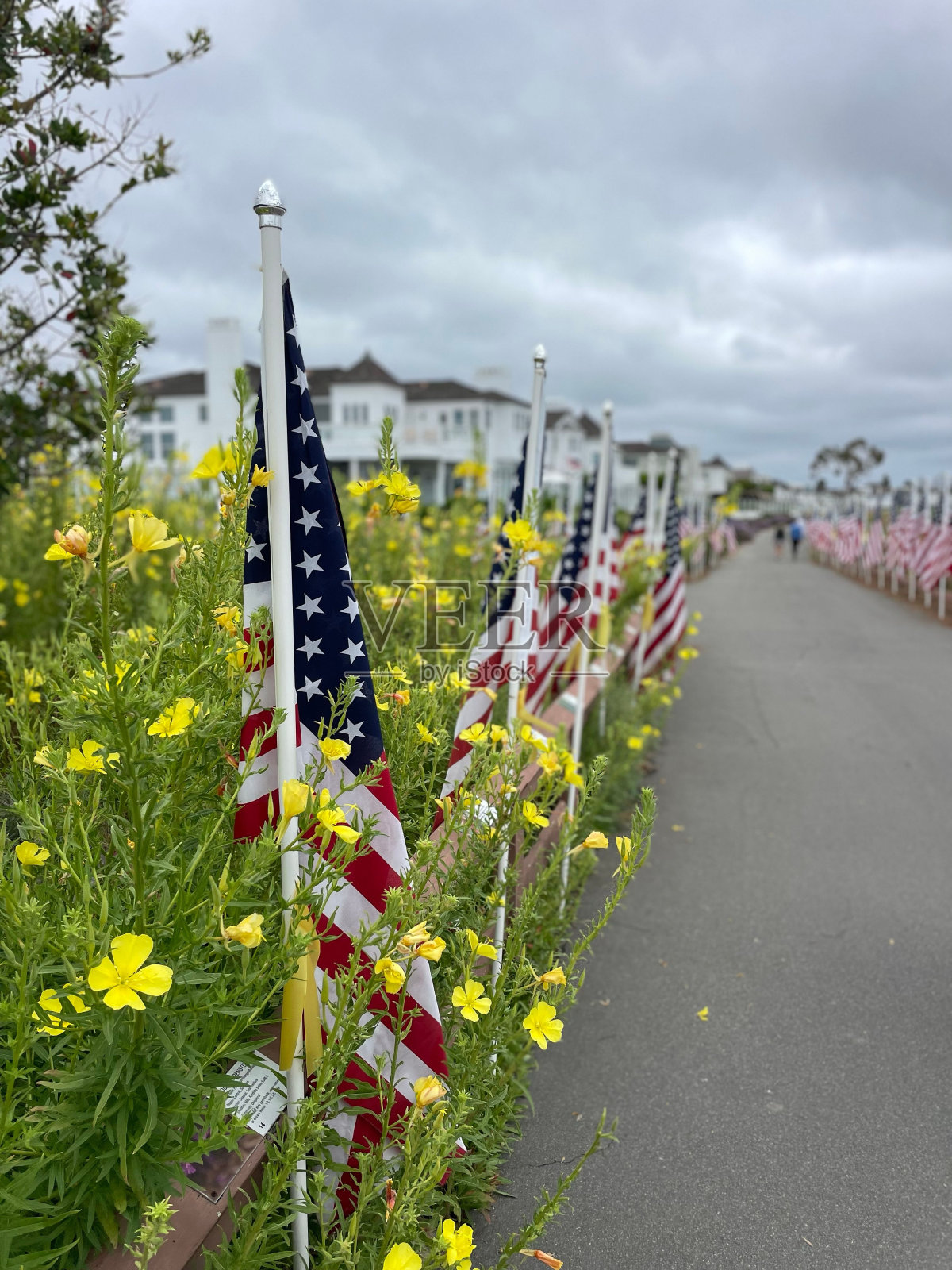 花丛中的栅栏柱之间插着一组小旗子照片摄影图片