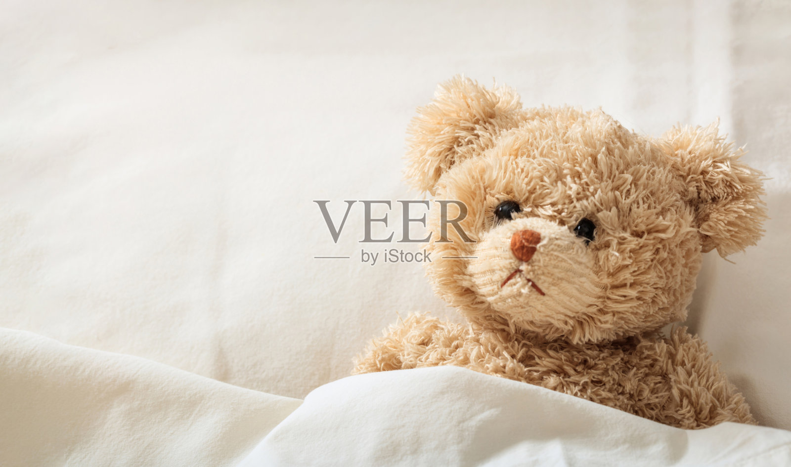 泰迪熊生病住院了照片摄影图片