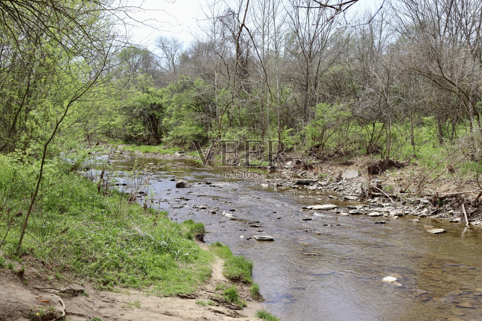 森林里的小溪照片摄影图片
