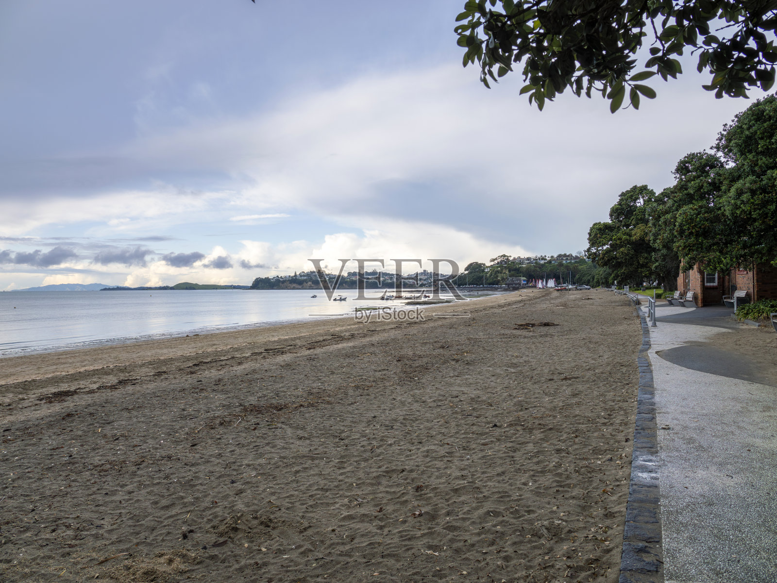 新西兰的奥克兰海岸线照片摄影图片