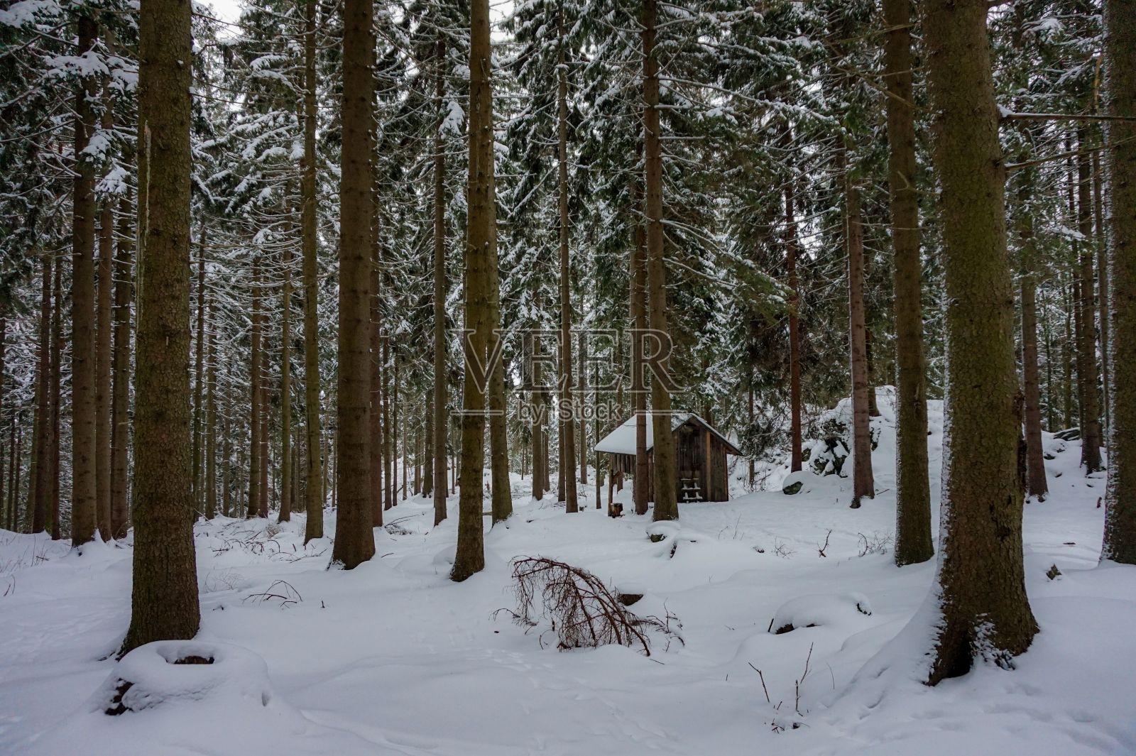 冬日里森林里的木结构建筑,被一层原始的雪包围着照片摄影图片