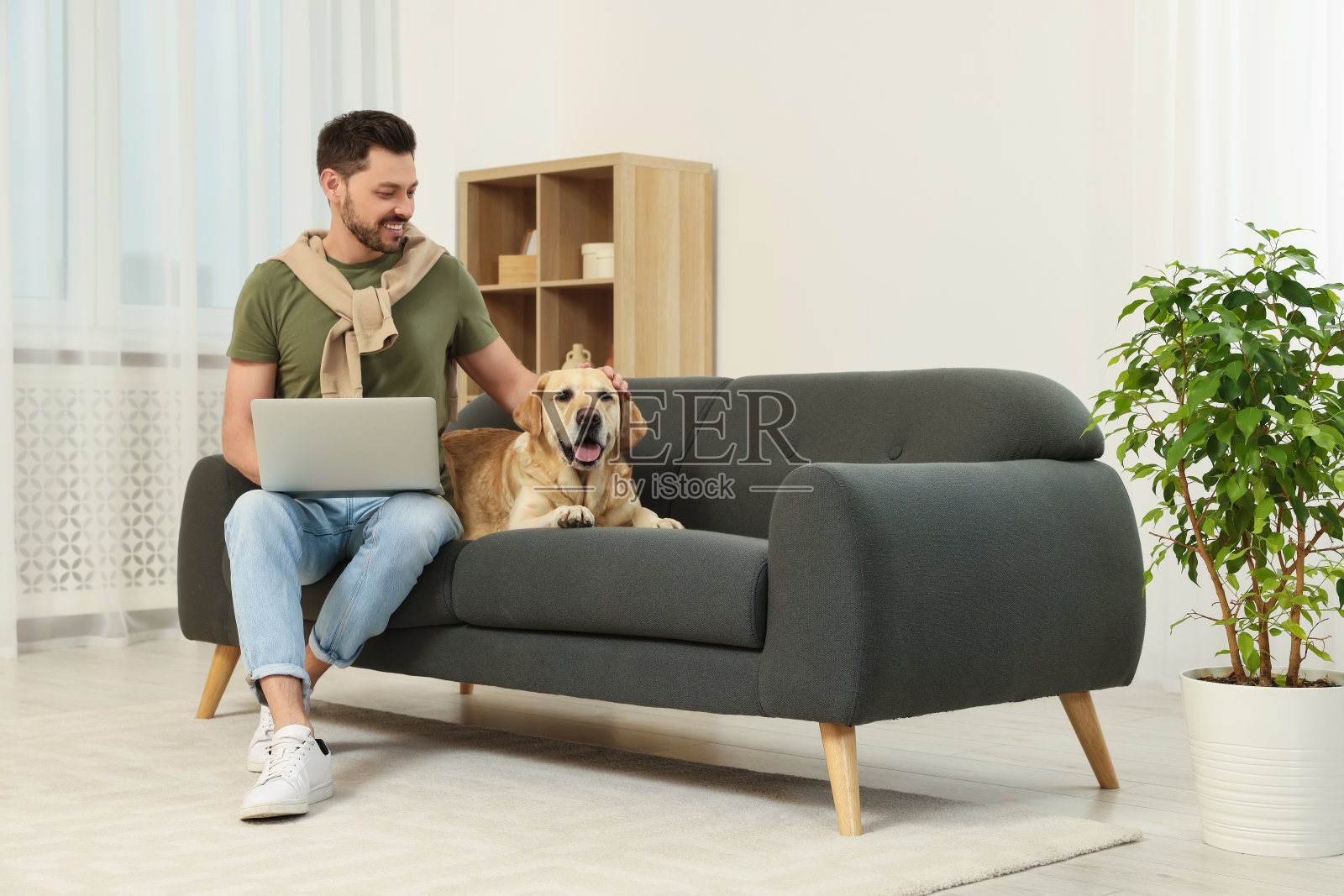 一名男子坐在沙发上使用笔记本电脑,旁边是他可爱的拉布拉多猎犬。文本空间照片摄影图片