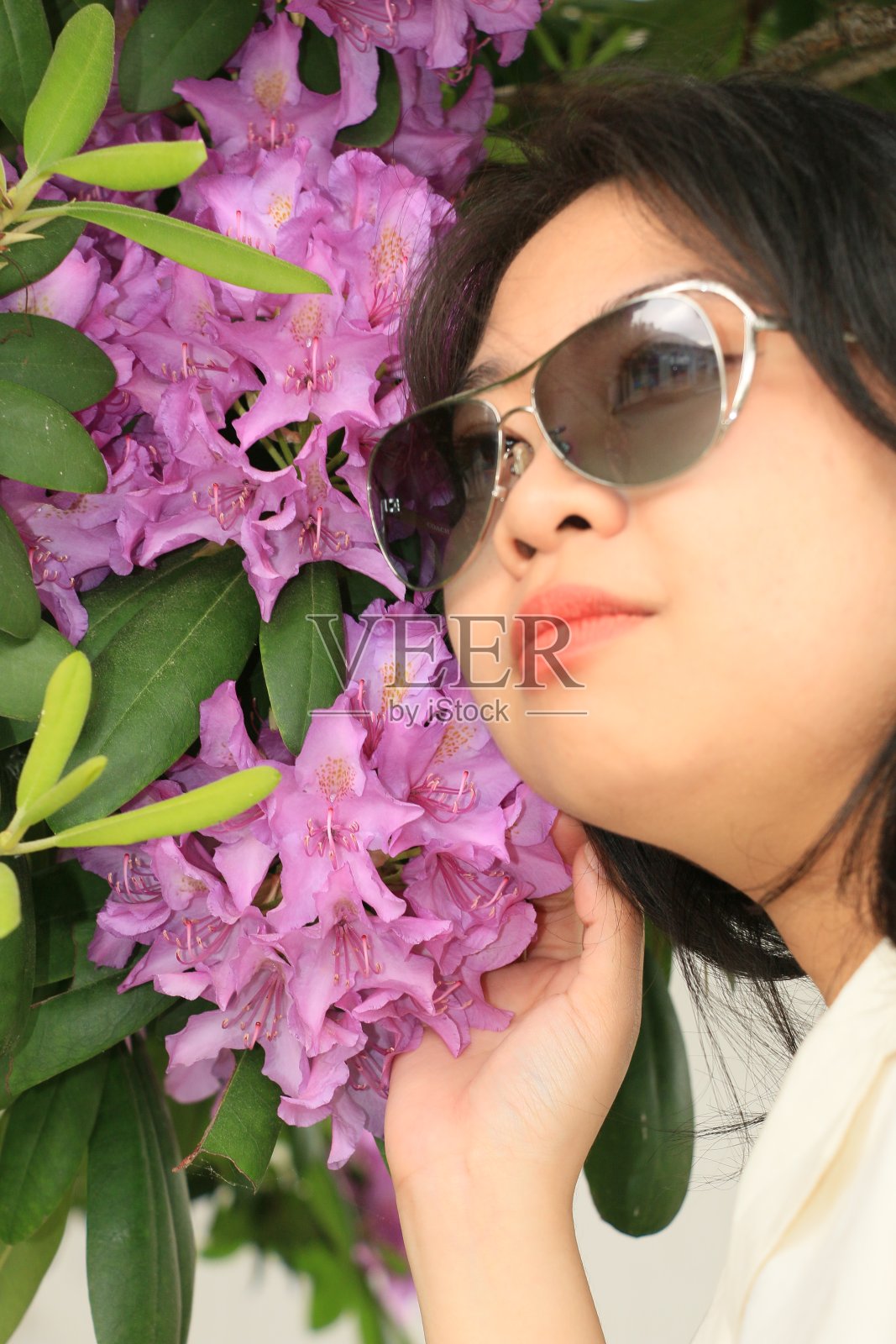 春天的美丽照片摄影图片