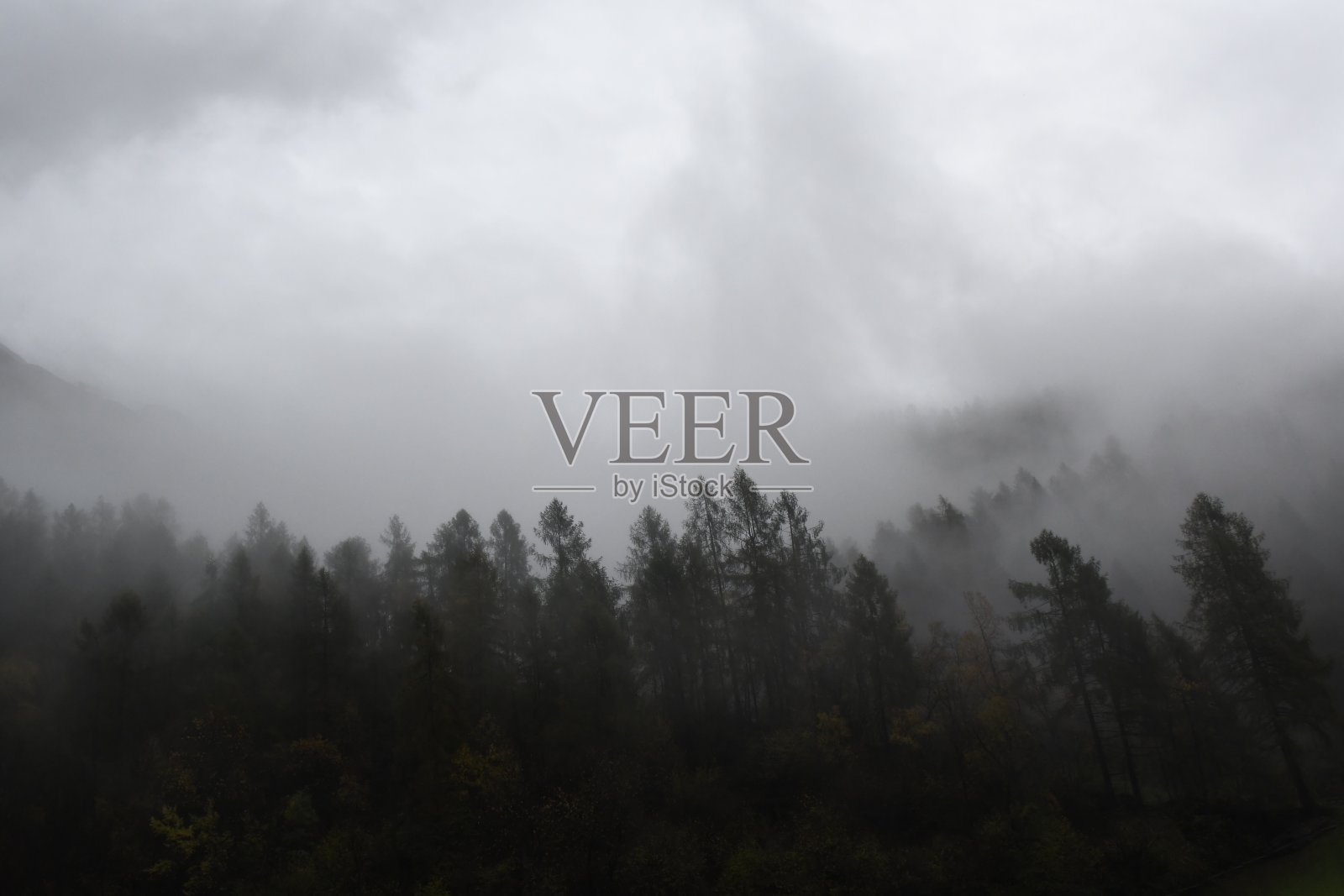 新闻新闻照片摄影图片