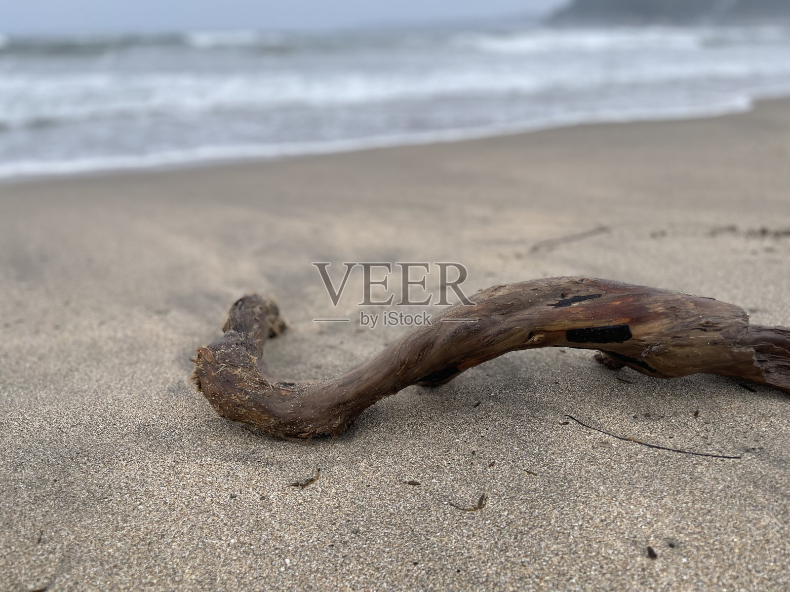 雨后照片摄影图片