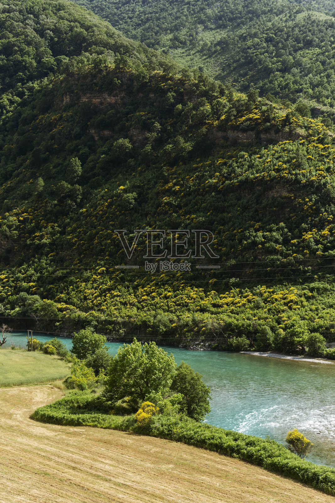 阿尔巴尼亚有黄色花朵的山脉照片摄影图片