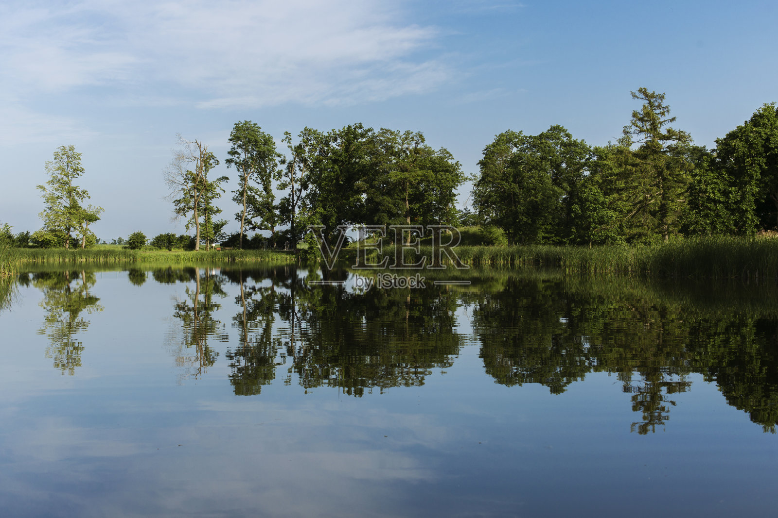 波兰的湖泊照片摄影图片