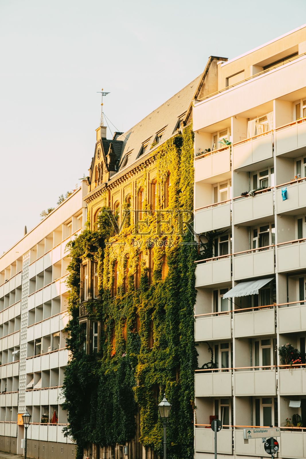 充满活力的城市街道两旁耸立着高耸的建筑和郁郁葱葱的树木照片摄影图片