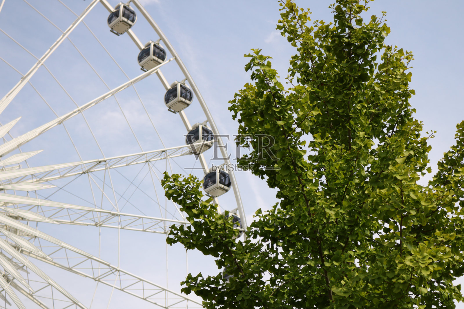 伟大的鞭痕照片摄影图片