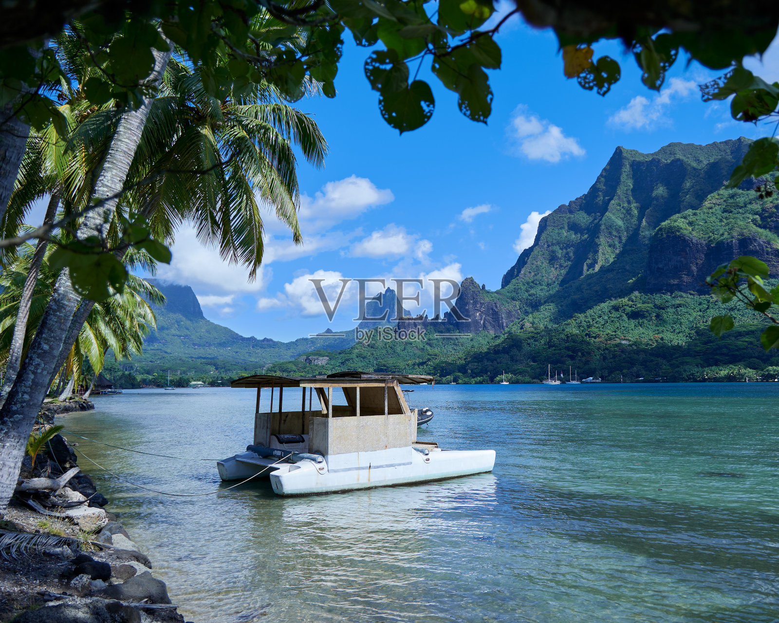 莫雷阿岛湾照片摄影图片