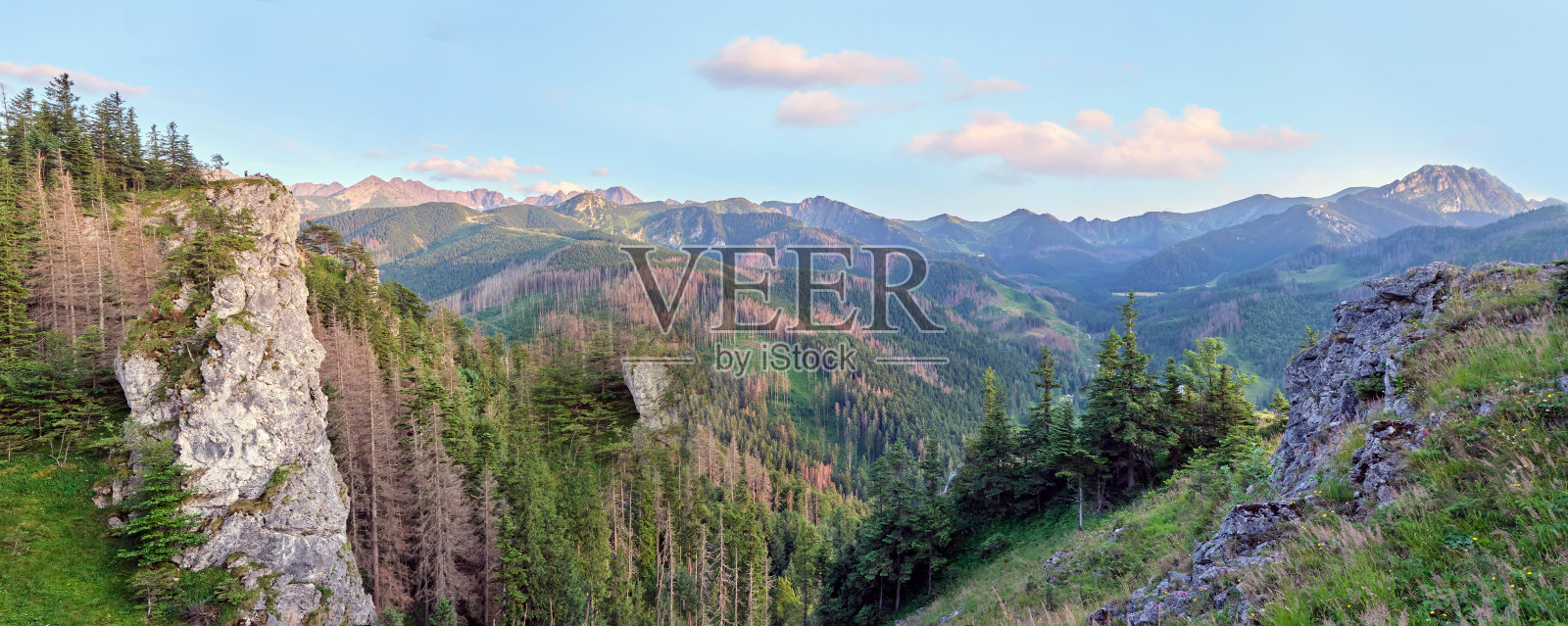 山全景滑雪胜地在夏天,塔特拉,扎科帕内,波兰,小波兰省照片摄影图片