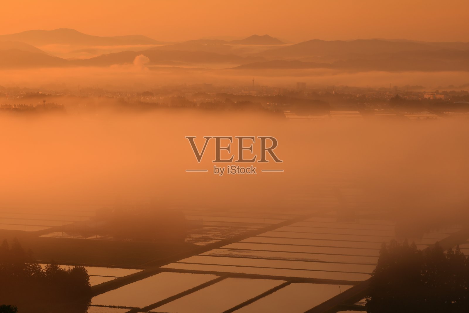 黎明的乡村风景照片摄影图片