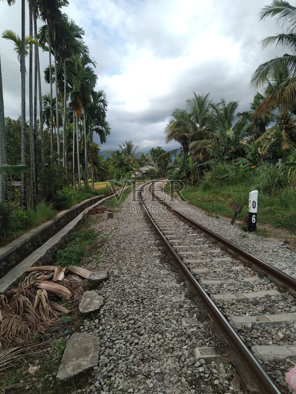 铁路和椰树的自然风光照片摄影图片