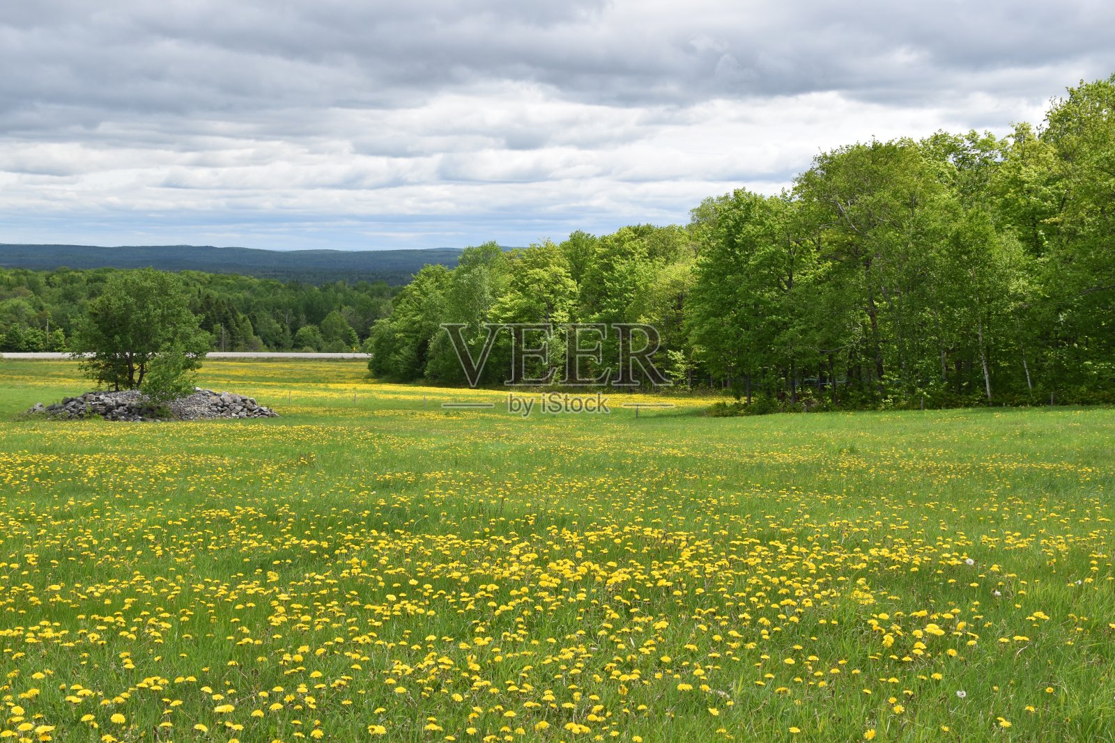 非盟巴黎春天百货照片摄影图片