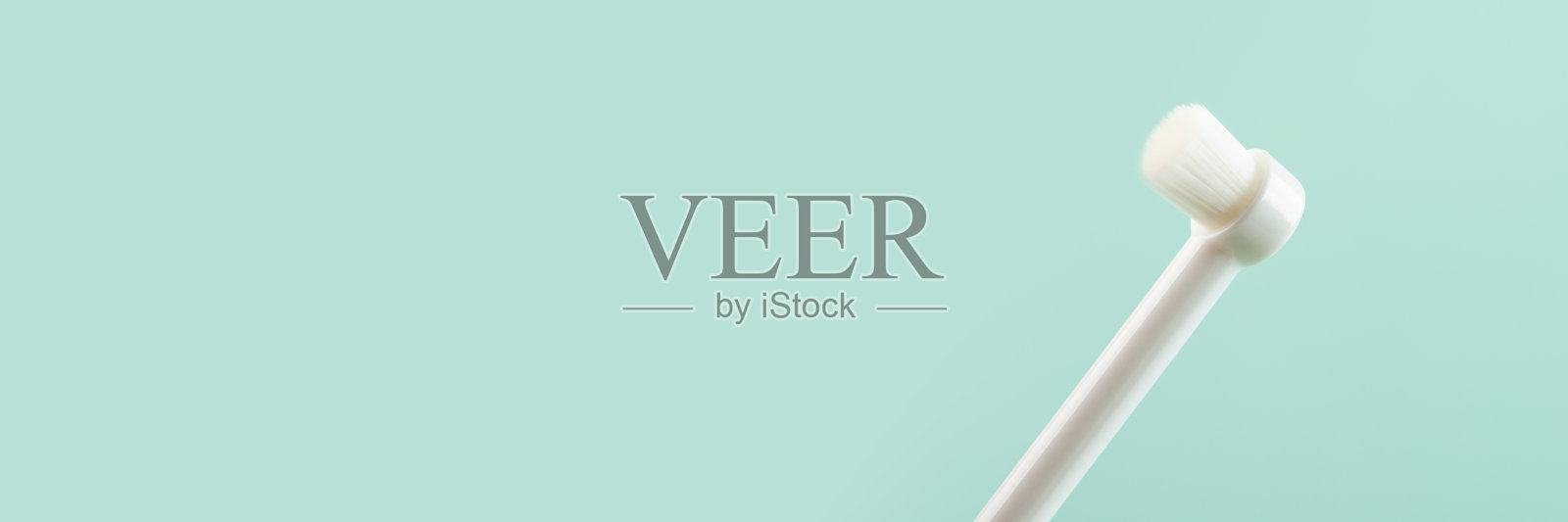 宠物口腔卫生,狗和猫的牙齿清洁,动物的牙菌斑牙刷照片摄影图片