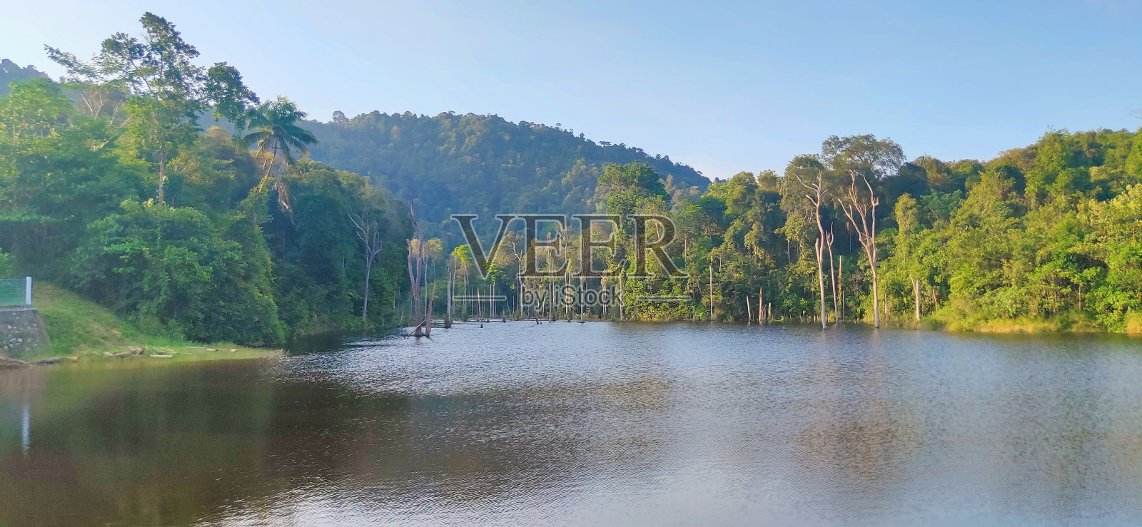 自然池塘,绿树蓝天照片摄影图片