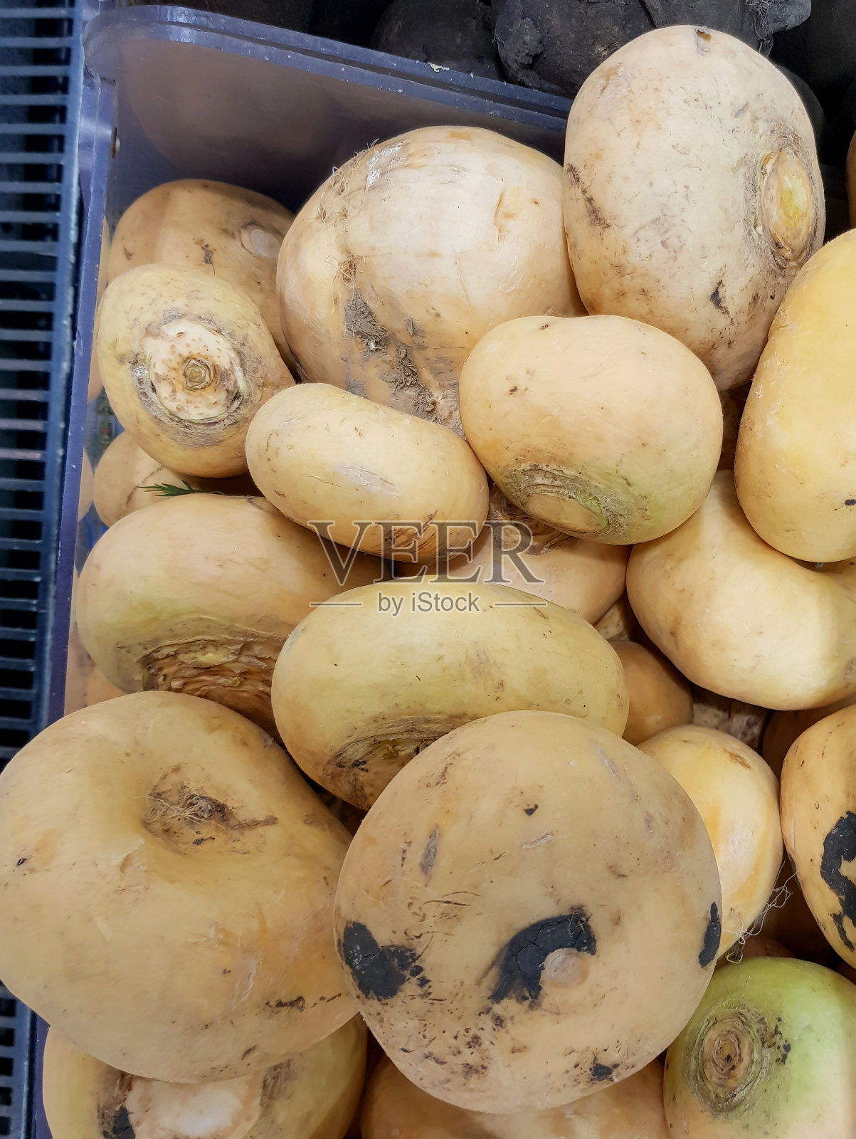蔬菜市场柜台上的白色有机萝卜特写,有机农场蔬菜销售,垂直照片照片摄影图片