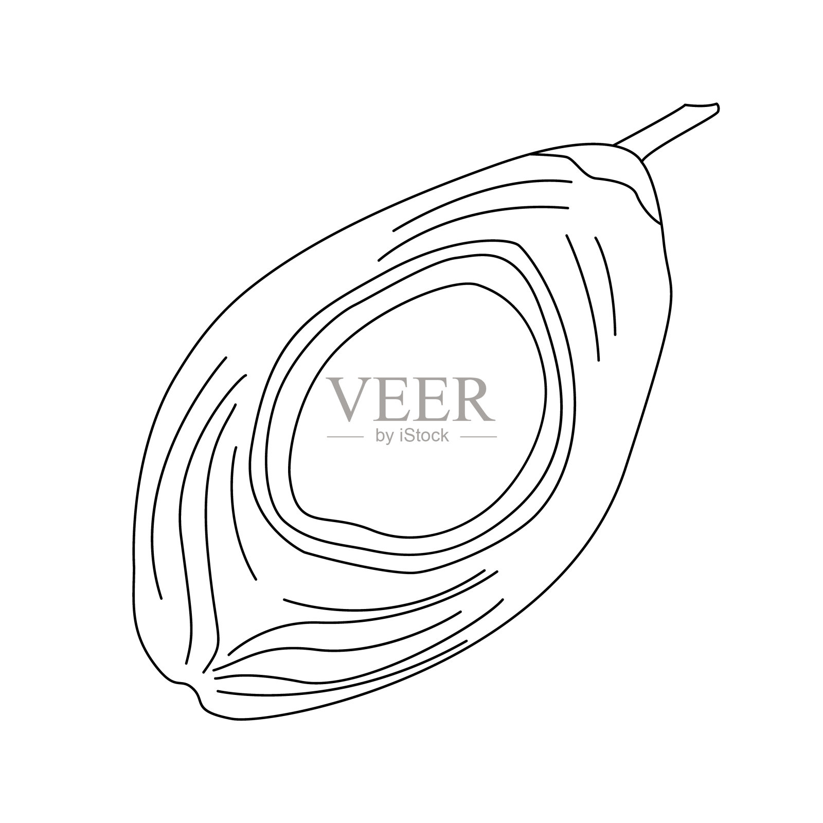 椰子半线艺术。大纲。矢量,插图,孤立插画图片素材