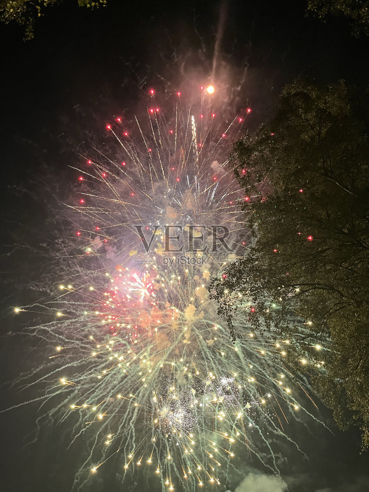 上巴伐利亚州巴德艾布林的烟花。晚上放烟花。五颜六色的烟花。庆祝。照片摄影图片