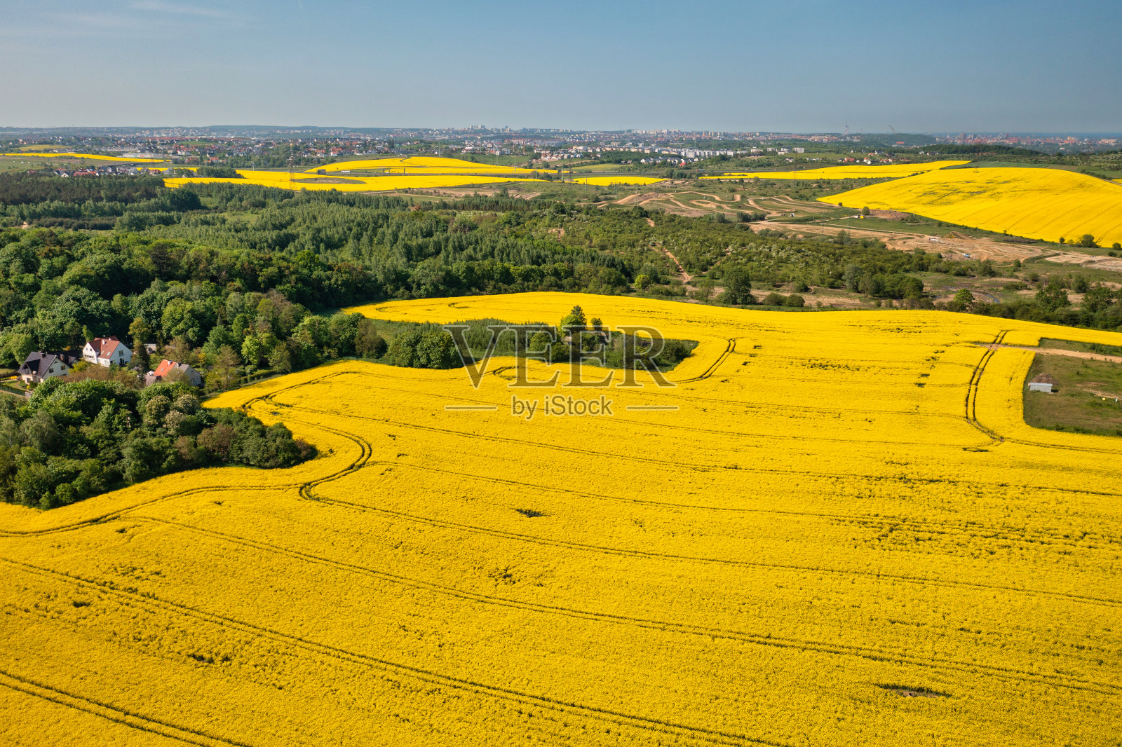 蓝天下黄色油菜地的空中景观,波兰照片摄影图片