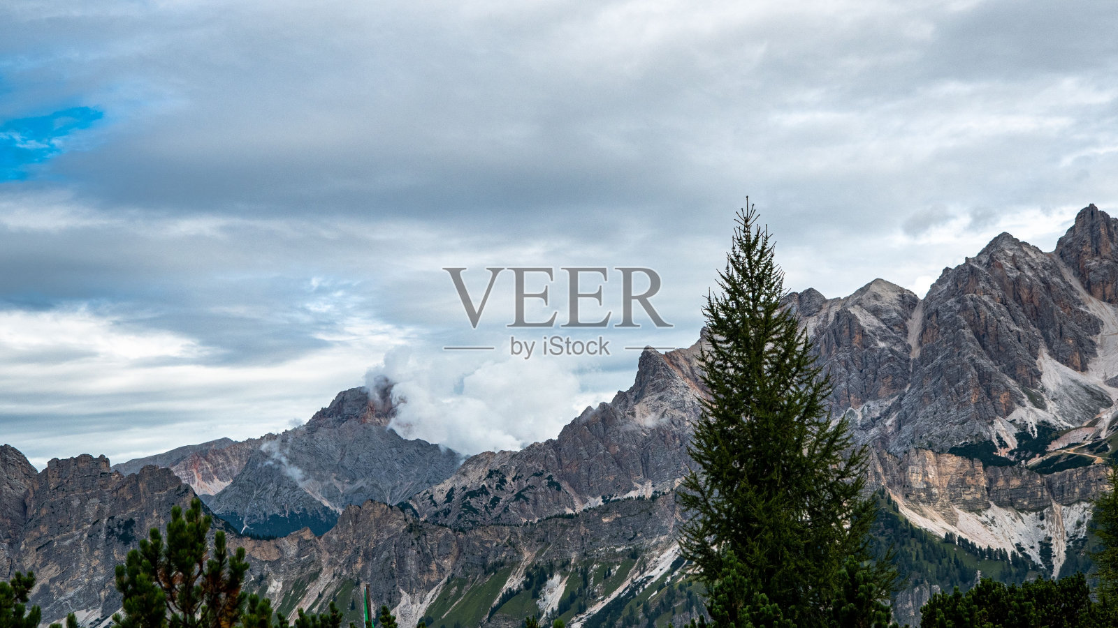 孤立的山地景观,高大的松树和雾气缭绕的山峰照片摄影图片