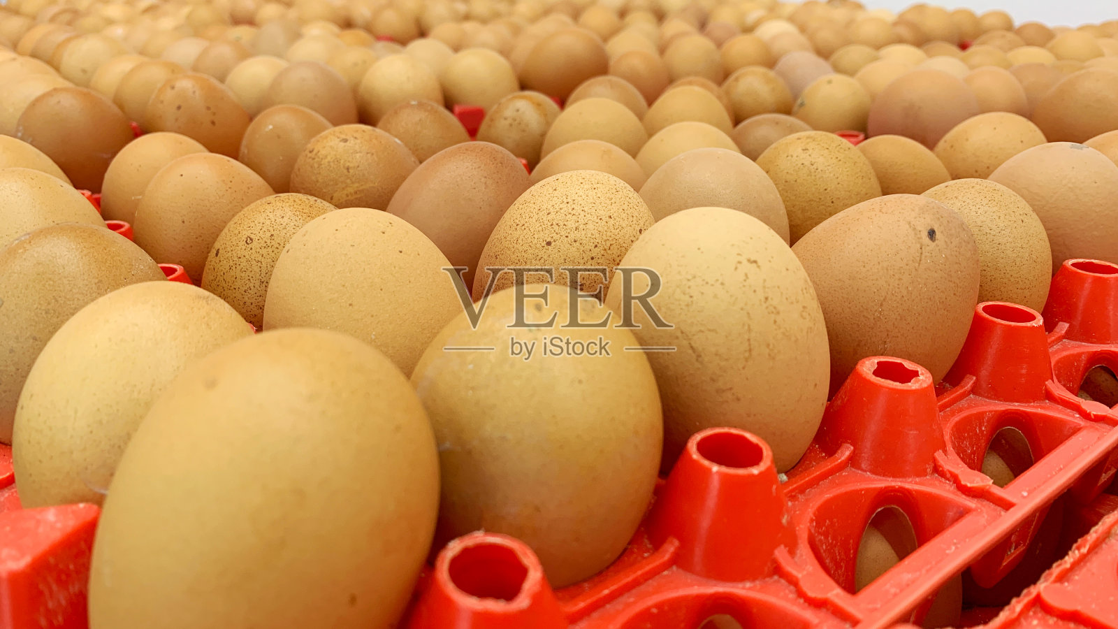 一排鸡蛋,准备出售照片摄影图片