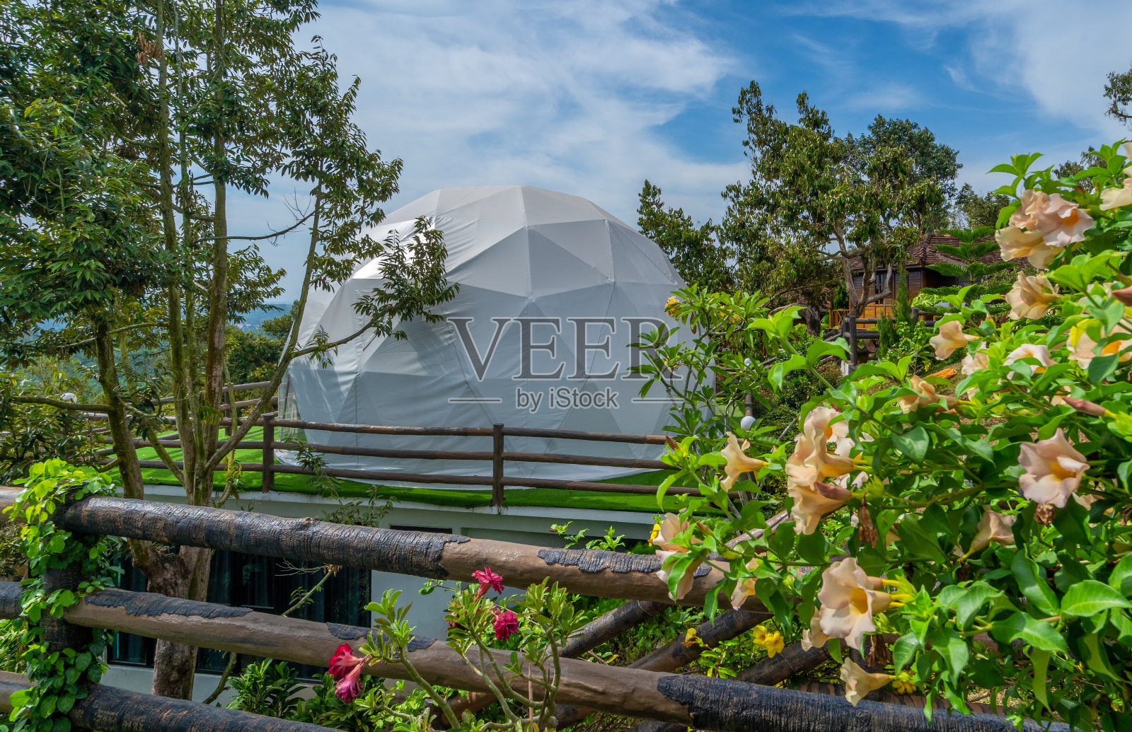 夹在观星圆顶俯瞰悬崖的景观景观和畅通无阻的夜空照片摄影图片