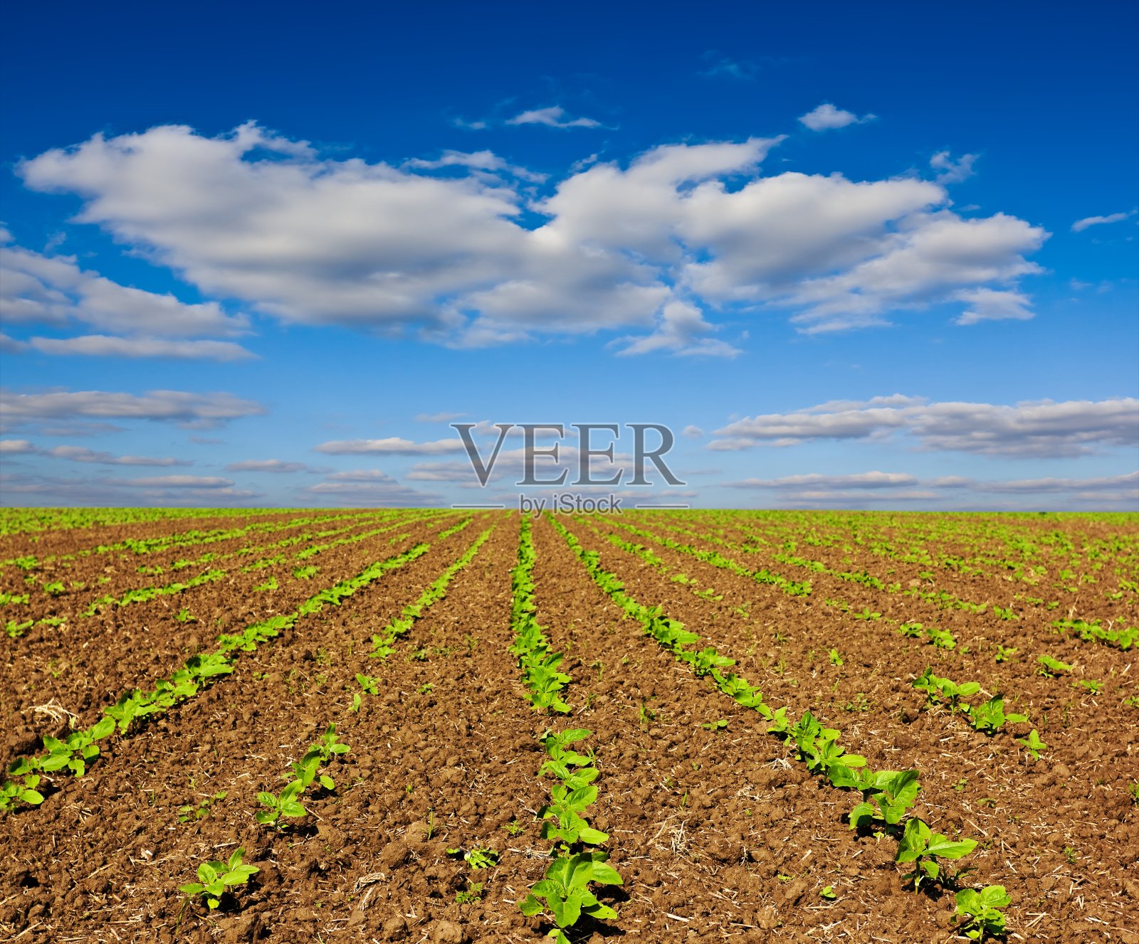 农村领域照片摄影图片