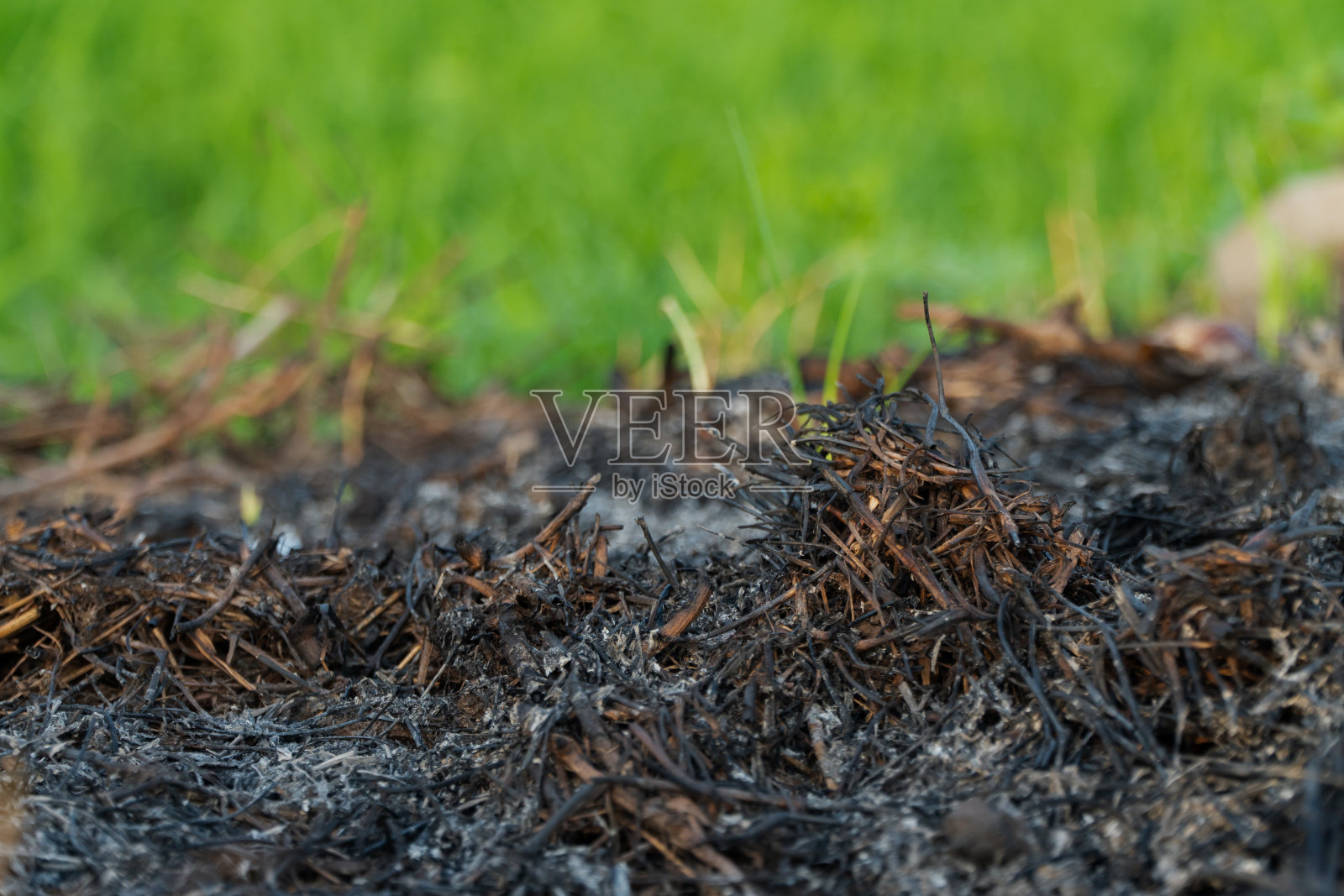人群的骨灰在赛场的边沿上奔跑照片摄影图片