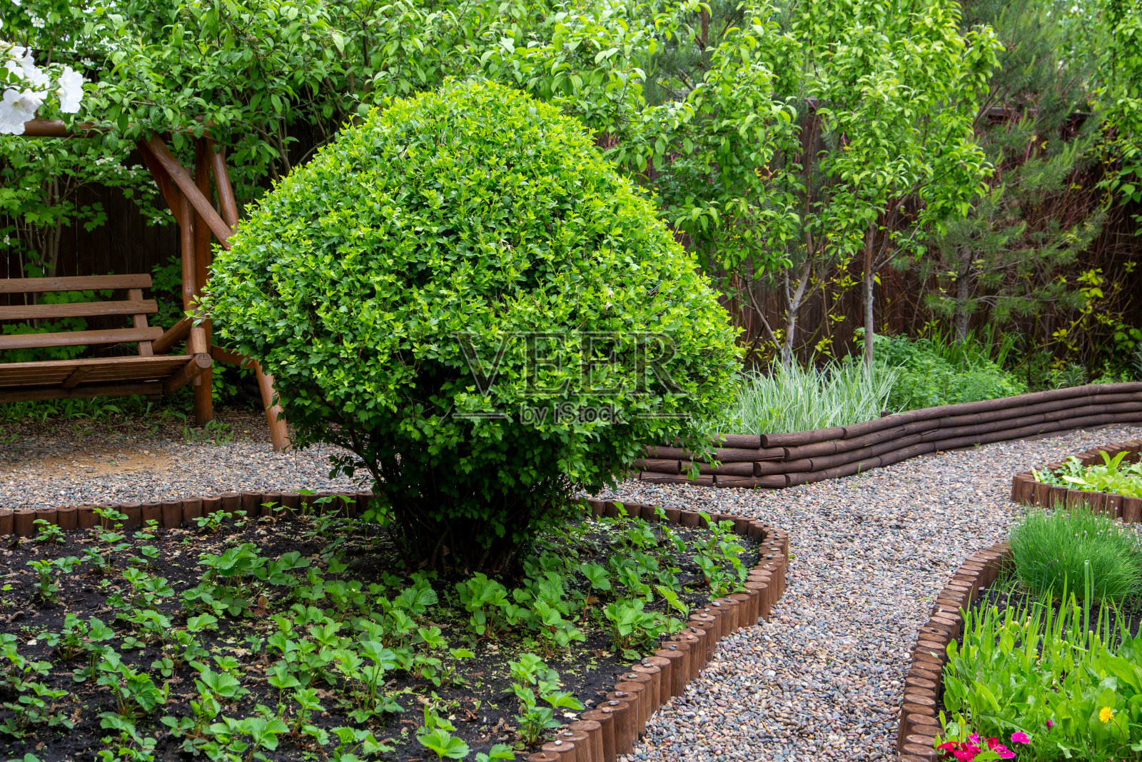 观赏花园,景观公园的一部分。花坛里的可食用植物。照片摄影图片