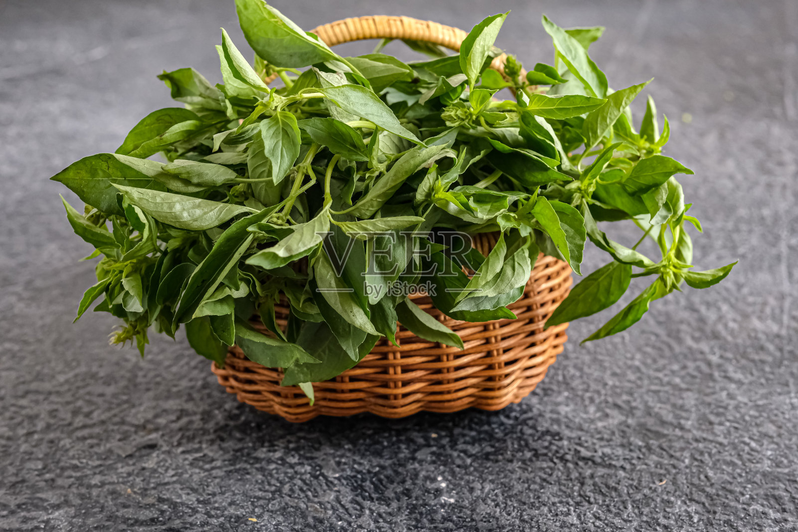 罗勒叶或罗勒叶照片摄影图片