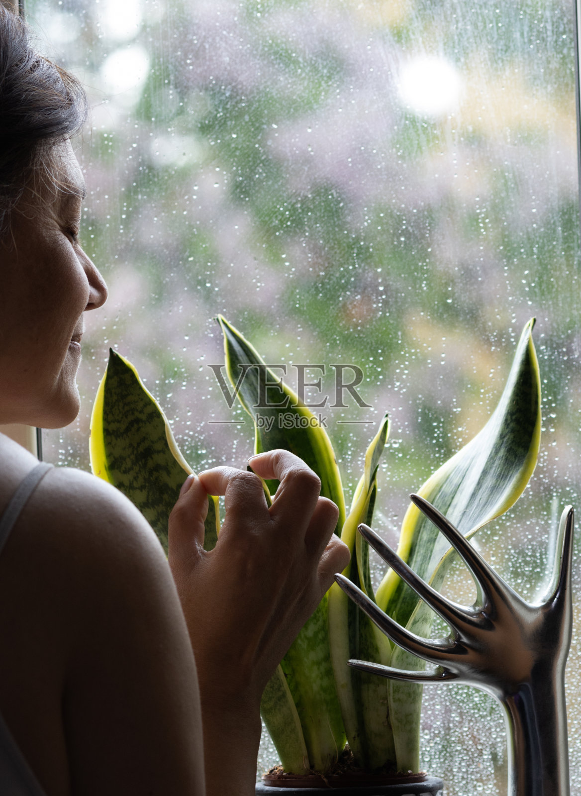 中年妇女和未来机器人手在满是雨滴的窗前爱抚植物的叶子和花蕾。未来概念,机器,人类与自然共存。竖版图片照片摄影图片