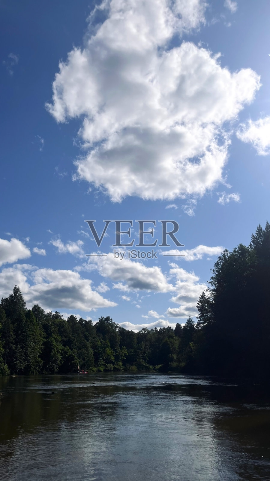 俄罗斯中部夏季的森林和河流照片摄影图片