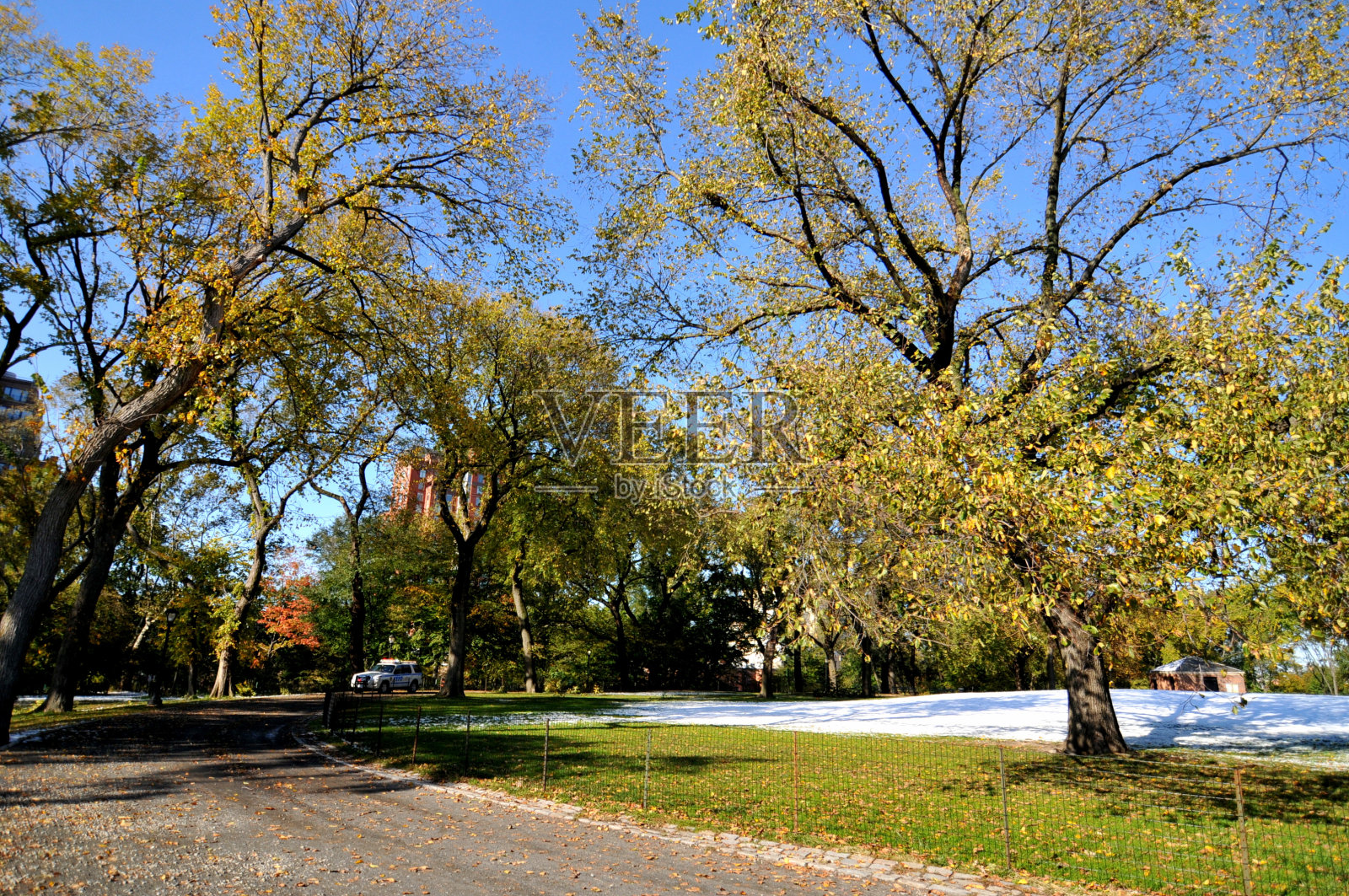 纽约中央公园的美丽秋天照片摄影图片