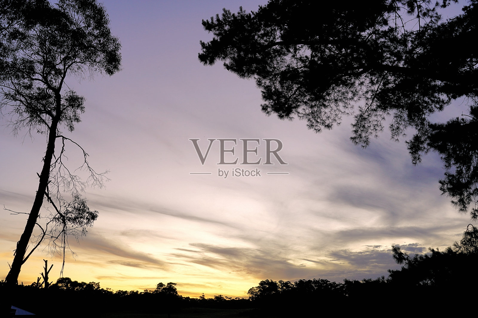 拉拉拉拉,澳大利亚维多利亚照片摄影图片