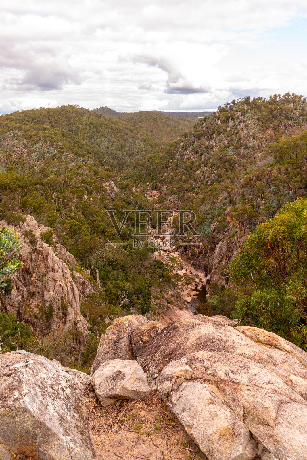 澳大利亚昆士兰的自然丛林景观照片摄影图片