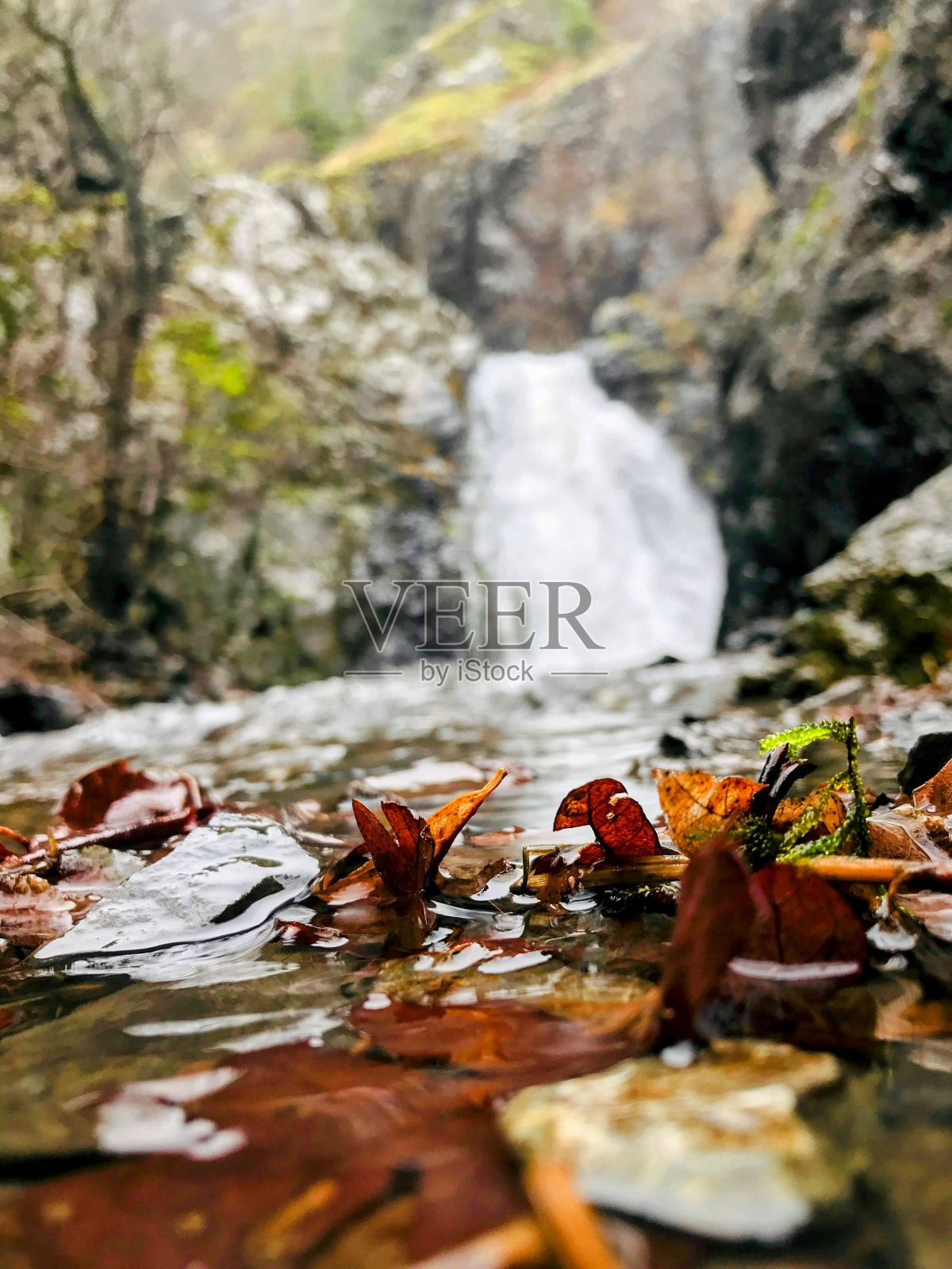 风景优美的山景,俄勒冈瀑布和散落的秋叶照片摄影图片