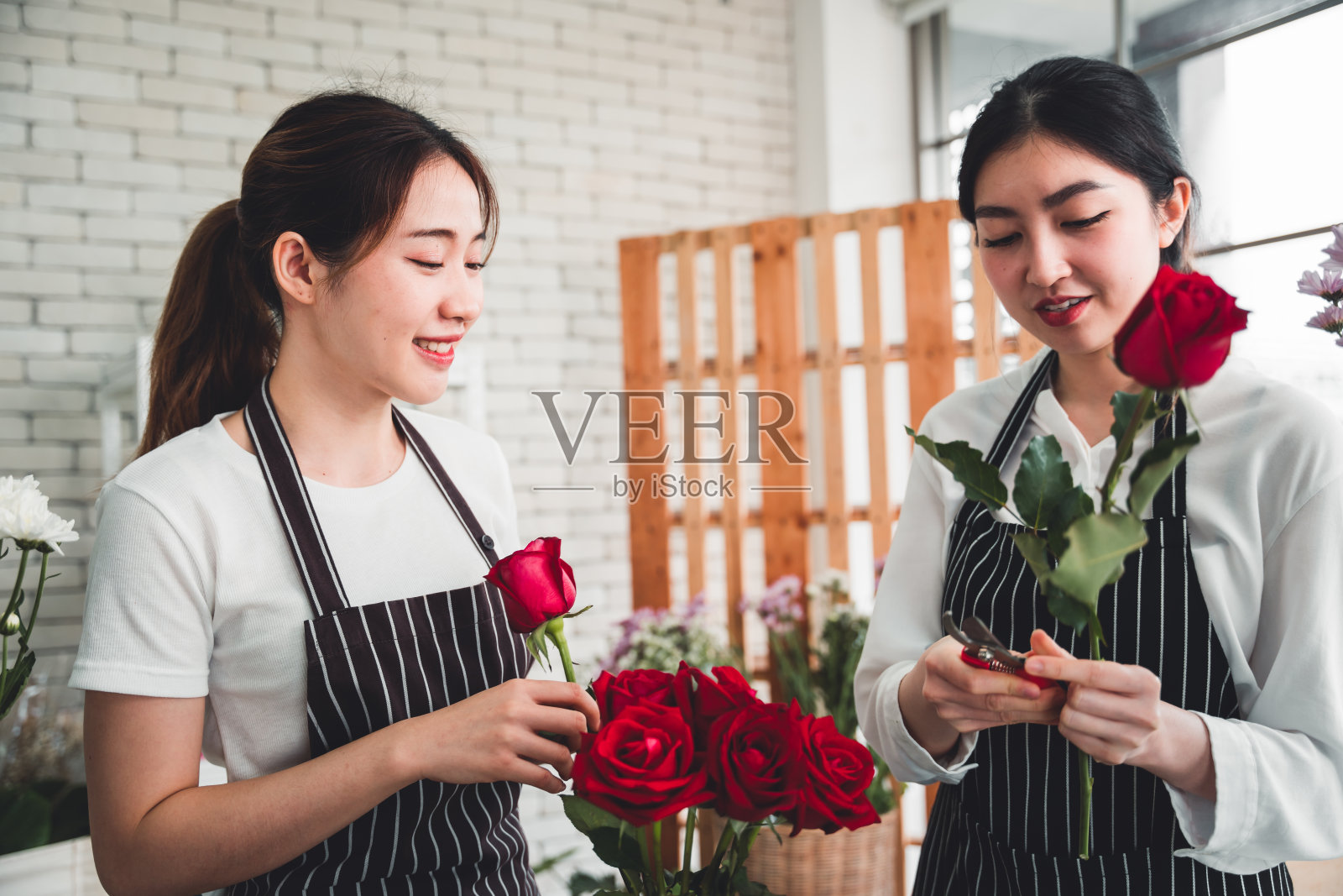 两个年轻的花匠正在用剪枝剪修剪玫瑰,准备在花店里插花。照片摄影图片