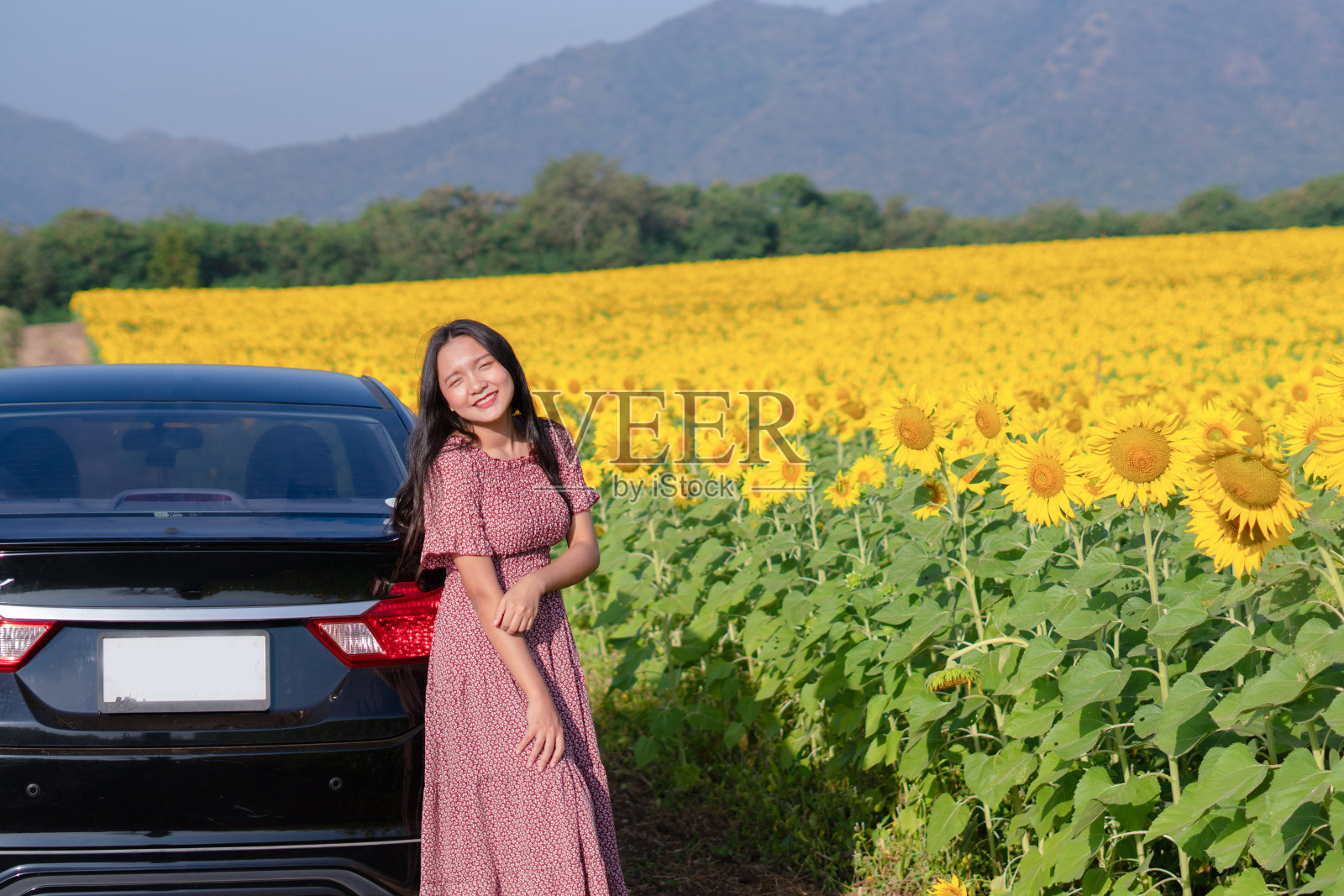 美丽的年轻女孩站在向日葵地里的汽车旁。夏天的时间。照片摄影图片